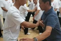 master-yang-jun-push-hands-seminar-shanghai-01