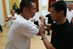 master-yang-jun-push-hands-seminar-shanghai-04