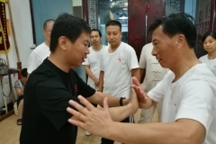master-yang-jun-push-hands-seminar-shanghai-06