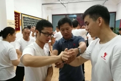 master-yang-jun-push-hands-seminar-shanghai-09