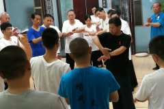 master-yang-jun-push-hands-seminar-shanghai-10
